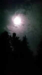 Sun peeping through dark clouds. Chinar in dark shadows